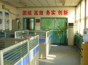 灣區(qū)數(shù)字化浪潮下的天津軟件開(kāi)發(fā)新機(jī)遇